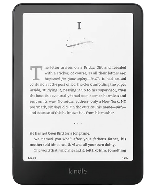 Amazon Kindle Paperwhite 2024 (12-го поколения) Wi-Fi 32Gb Black (Чёрный) — black