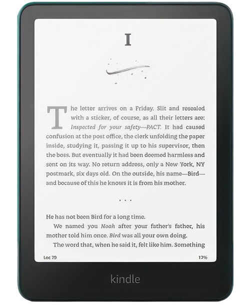 Amazon Kindle Paperwhite 2024 Signature Edition (12-го поколения) Wi-Fi 32Gb Metallic Jade (Зелёный) — mint