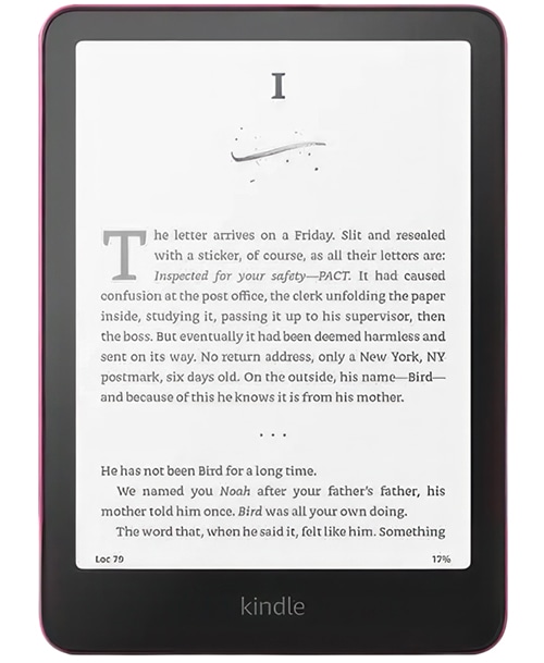 Amazon Kindle Paperwhite 2024 (12-го поколения) Wi-Fi 16Gb Raspberry (Розовый) — pink