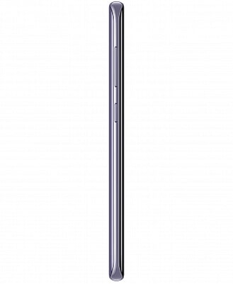 Samsung Galaxy S8+ Plus (РЕФ 2 sim) 4Gb/64Gb Grey (Серый мистический аметист) — grey