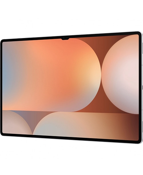 Samsung Galaxy Tab S10 Ultra 12Gb/256Gb Wi-Fi Platinum Silver (Серебро) — silver