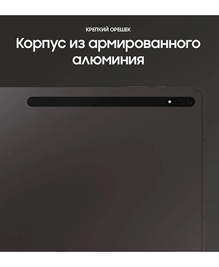 Samsung Galaxy Tab S8 Ultra 8Gb/128Gb Wi-Fi Graphite (Графитовый серый) — grey