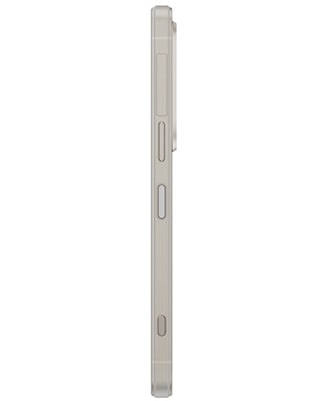 Sony Xperia 1 VI 12Gb/256Gb Platinum Silver (Платиново-серебристый) — silver